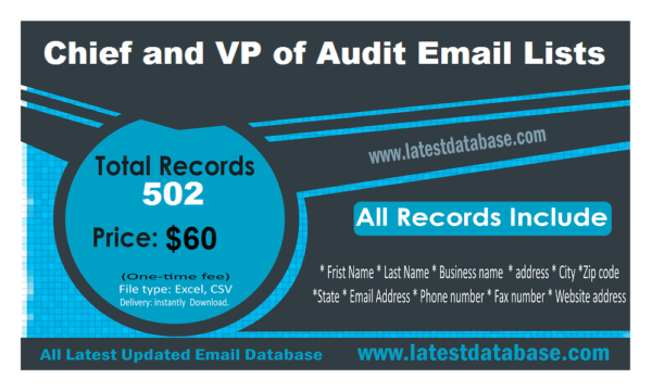 Chief and VP of Audit Email Activer Datas