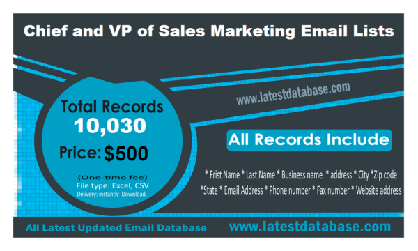 Chief and VP of Sales Marketing Email Activer Datas